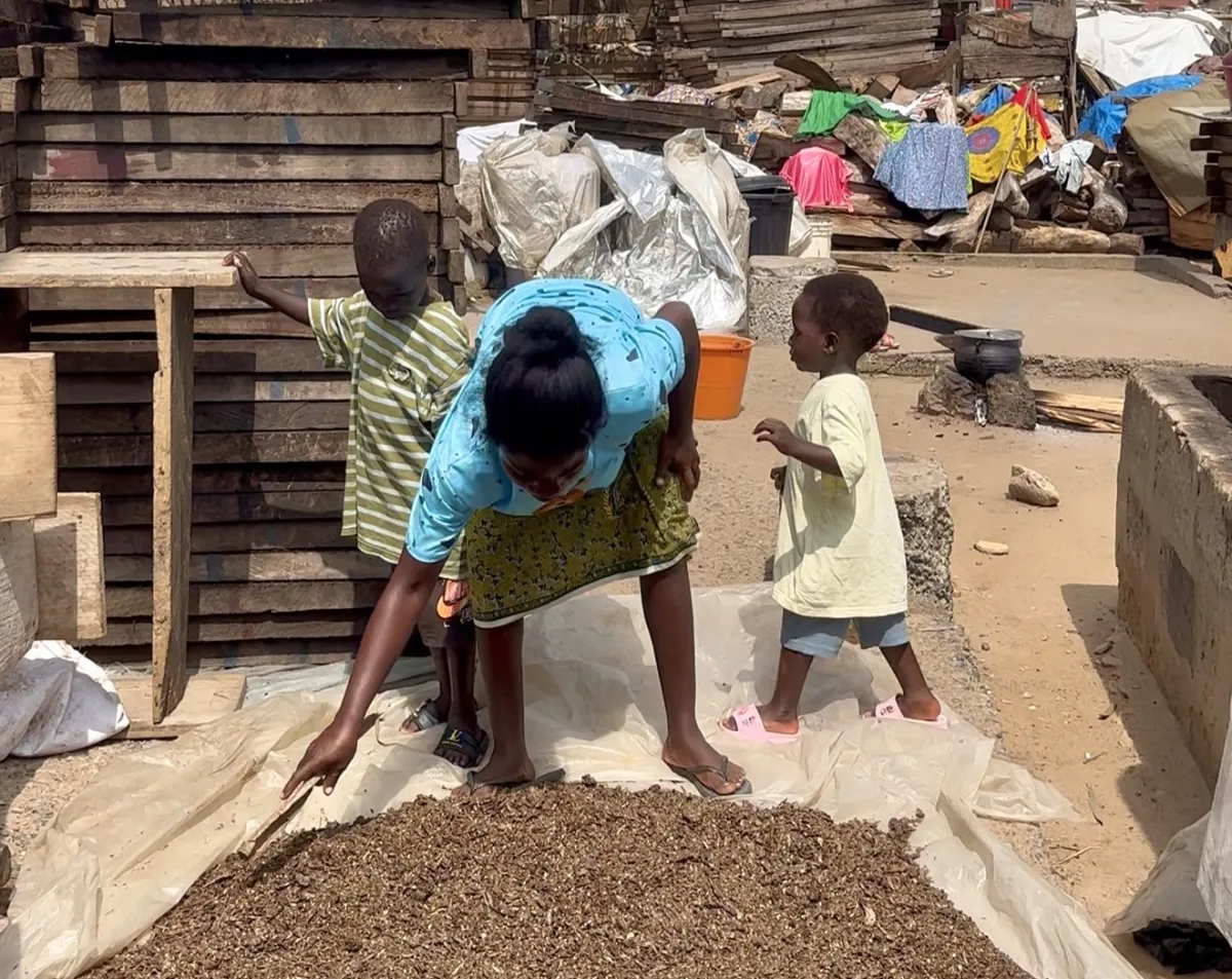 Mary Kudjo’s Story -     A Mother’s Silent Struggle